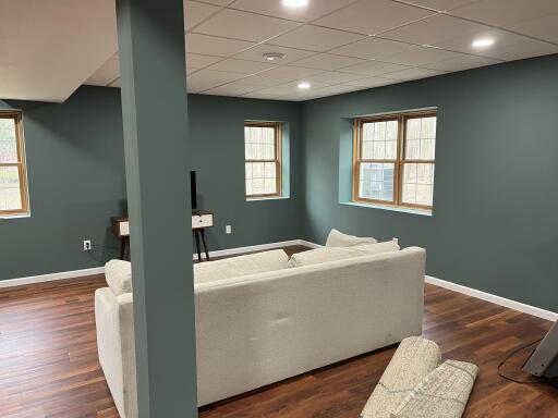 Basement Family Room