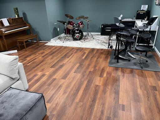 Music & Entertainment Room