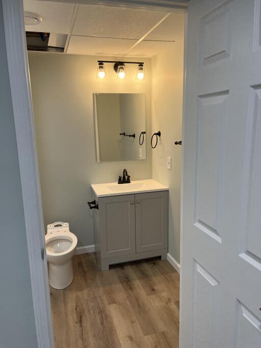 Basement Bathroom with Custom Vanity
